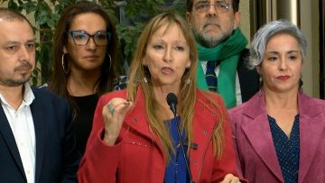 130524C02 DECLARACIONES DIPUTADOS OFICIALISTAS TRAS APROBACIÓN DE LEY CORTA DE ISAPRES 11 (1)