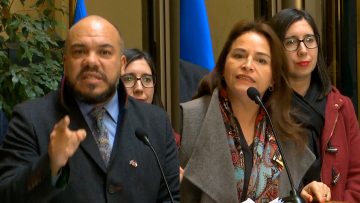 150524C02 DECLARACIONES SUBSECRETARIO EDUARDO VERGARA Y DIPUTADA JOANNA PÉREZ 100