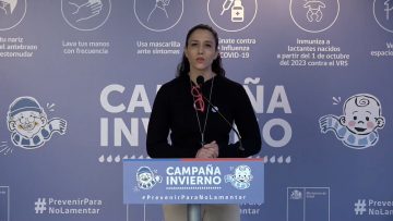 16052416 CAMPAÑA DE INVIERNO MINSAL 2024 01