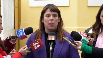 31052408 DECLARACIONES DELEGADA RM 01 (2)