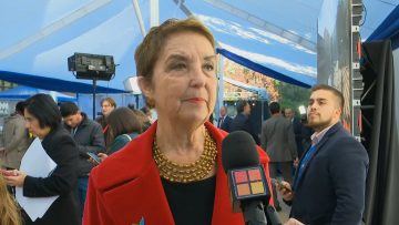 010624CP06 DECLARACIONES DIPUTADA GLORIA HUTT 2