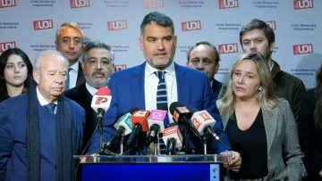 03062414 DECLARACIONES DIRECTIVA UDI 1