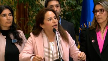 050624C06 DIPUTADOS DEMOCRATAS POR PROYECTO RETIRO AFP 13