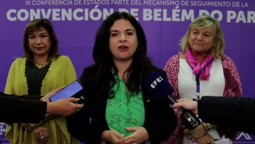 11062403 IX CONFERENCIA DE ESTADOS PARTE DEL MECANISMO DE SEGUIMIENTO DE LA CONVENCIÓN DE BELEM DO PA14