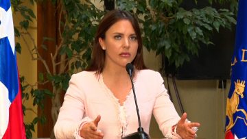 180624C02 DIPUTADA MUSANTE SOBRE VOTACIÓN EN 2 DÍAS 3