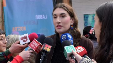 29062405 DECLARACIONES EMILIA SCHNEIDER CS 3