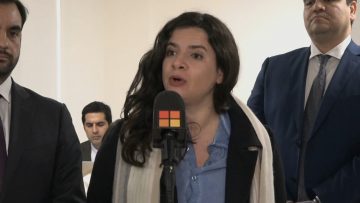 02072407 AUTORIDADES SOBRE ORIENTACIÓN A MUJERES POR PAGO DE PENSIONES DE ALIMENTOS29