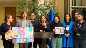 240724C04 DIPUTADOS SOBRE CARRERAS DE GALGOS 01
