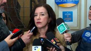 26072405 DECLARACIONES FISCAL CLAUDIA PERIVANCICH 03