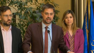 240924C03 DECLARACIONES DIPUTADOS PS 03