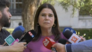 23112410 DECLARACIONES DIPUTADA RN XIMENA OSSANDÓN 01