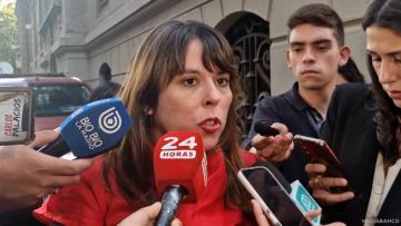24112444 DECLARACIONES CONSTANZA MARTÍNEZ 01
