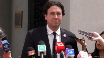 25112408 DECLARACIONES VLADO MIROSEVIC 01 (1)