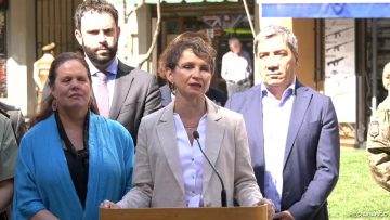 27112403 FISCALIZACIÓN DE ARMAS INSCRITAS ACTIVAS 43 (2)