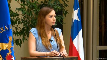271124C01 DECLARACIONES DIPUTADA CAMILA FLORES 01