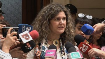 28112412 DECLARACIONES PAULA VIAL 01