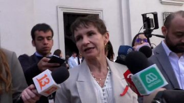 29112401 DECLARACIONES MINISTRA TOHÁ EN LA MONEDA 1