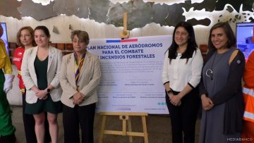29112403 PLAN NACIONAL PARA EL COMBATE DE INCENDIOS 20