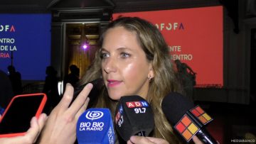 04122410 DECLARACIONES ROSARIO NAVARRO 01