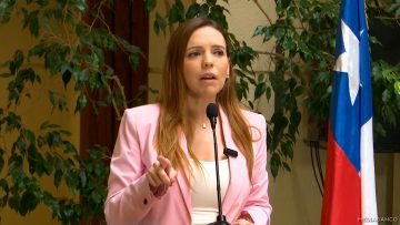 041224C02 DECLARACIONES DIPUTADA CAMILA FLORES 06