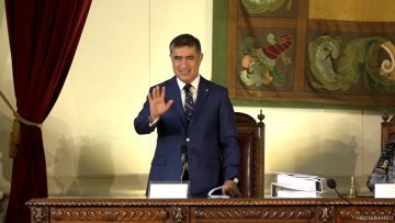 06122417 APOYOS ALCALDE MARIO DESBORDES 01