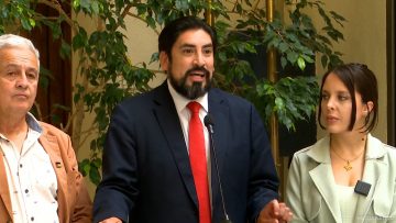 111224C09 DECLARACIONES DIPUTADOS PALMA, MUSANTE Y OYARZO 1