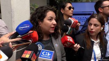 13122412 DECLARACIONES MINISTRA JAVIERA TORO EN LA MONEDA 05