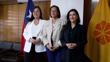 131224V01 SUBSECRETARÍA DE PREVENCIÓN DEL DELITO SE REÚNE CON ALCALDESAS RIPAMONTI Y NIETO 01