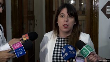 16122408 DECLARACIONES CONSTANZA MARTINEZ 06 (1)