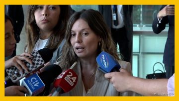 181224043 DECLAARACIONES FISCAL CONSTANZA ENCINA 07