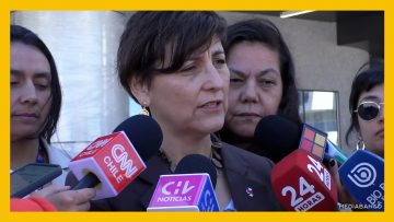 19122410 DECLARACIONES MINISTRA DE SALUD AMARIL