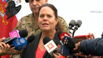 271224V02 DECLARACIONES POR VIAJE ROMPEHIELOS VIEL 1