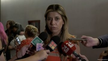 28122409 DECLARACIONES DIPUTADA CICARDINI (PS) 01