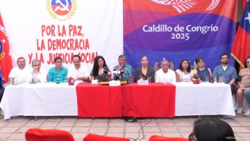 01012404 DECLARACIONES LAUTARO CARMONA 01