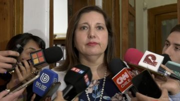 02012506 DECLARACIONES SENADORA PAULINA VODANOVIC 01