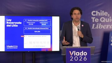 05012501 DECLARACIONES VLADO MIROSEVIC 01