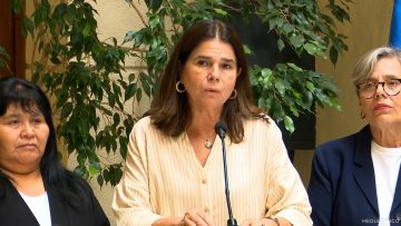 070125C12 DECLARACIONES DIPUTADAS POR JUGUETES BÉLICOS 01