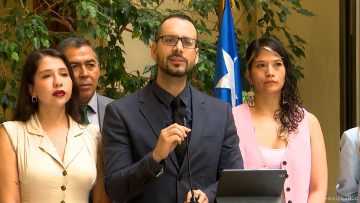 080125C05 DECLARACIONES DIPUTADOS OFICIALISTAS 01