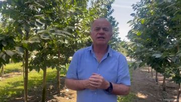 13012511 SNA POR EXPORTACIONES DE CEREZAS 01