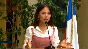 140125C03 DECLARACIONES DIPUTADA MUSANTE 01