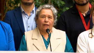 140125C10 DIPUTADOS SOBRE PROYECTO DE ENERGÍA 01