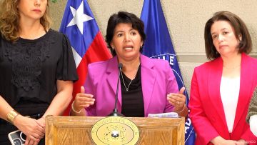 140425C15 VOCERÍA SENADORAS POR SISTEMA DE PENSIONES PARA MUJERES 05