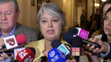18012522 DECLARACIONES MINISTRA JARA 01