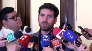 200125C02 DECLARACIONES DIPUTADO DIEGO IBÁÑEZ 01