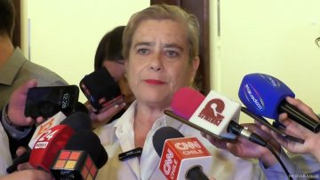 200125C05 DECLARACIONES DIPUTADA WEISSE 01