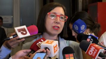 200125C07 DECLARACIONES DIPUTADA CAROLINA TELLO 01
