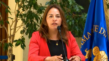 200125C15 DECLARACIONES DIPUTADA RN JOANNA PEREZ 01