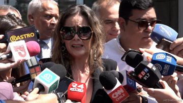23012515 DECLARACIONES FISCAL LORENA PARRA 05