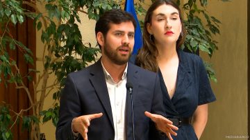290125C05 DECLARACIONES DIPUTADOS (FA) IBÁÑEZ Y SCHNEIDER 01