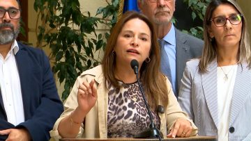 290125C15 DECLARACIONES DIPUTADA JOANNA PEREZ 01